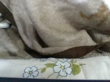 Elyah1a  live sex cam