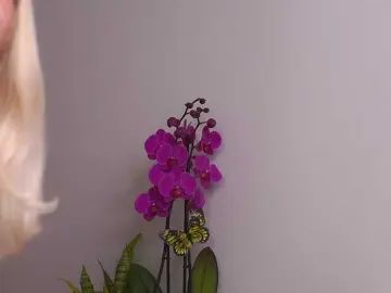 Sonya-reallsugar  live sex cam