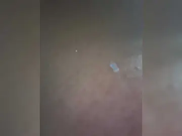 Sarah2Colliins  live sex cam