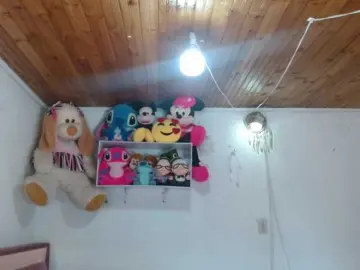 Karolcoott  live sex cam