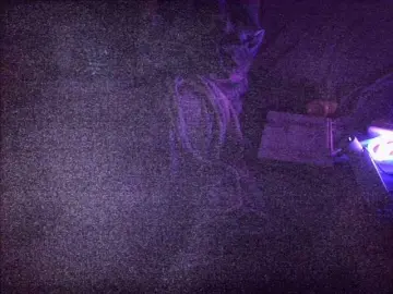 Sexxyfey  live sex cam