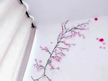 NicoRobinx  live sex cam