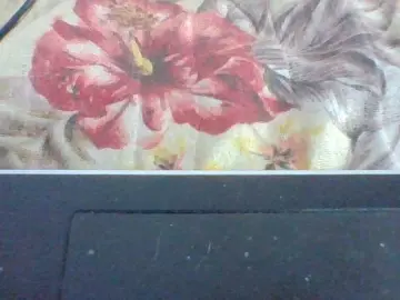 Layah7  live sex cam