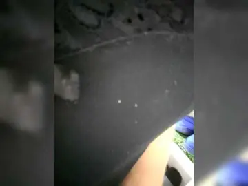 Marry357  live sex cam