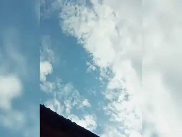 Djesikaandboron  live sex cam