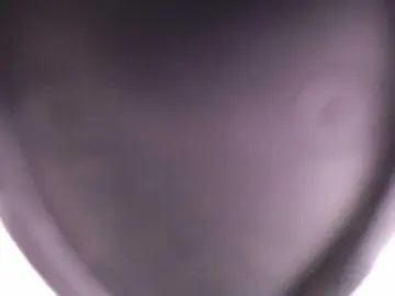 BlancaWild  live sex cam