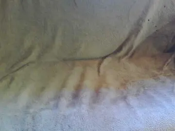 Stasja1  live sex cam