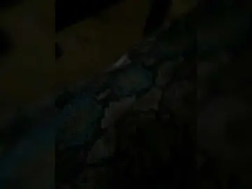 Lesi4ka  live sex cam