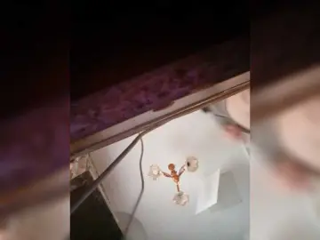 LeonoreGerrie  live sex cam