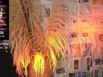 Jacki-O  live sex cam