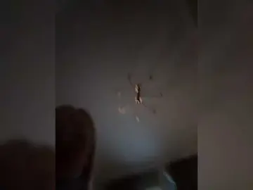MariaMagdalena  live sex cam