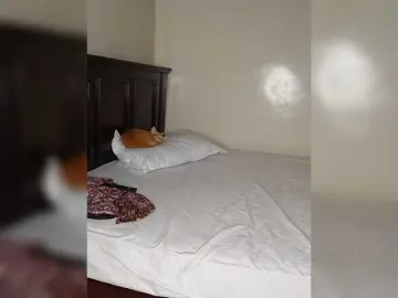 Roundbootie  live sex cam