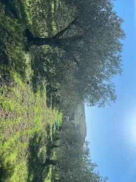 Bimbamonella  live sex cam