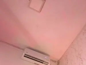 MilaHall  live sex cam