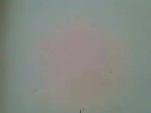 Joyieh9  live sex cam