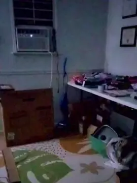 Livinglynn2  live sex cam