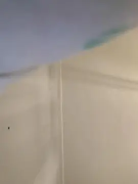 Cleymour  live sex cam