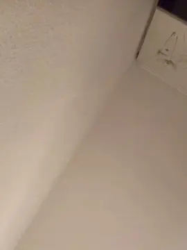 Paulitaar_  live sex cam