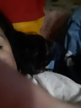 Miiafoxxx  live sex cam