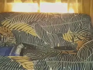 BELLADONNA  live sex cam