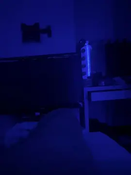 TT07  live sex cam