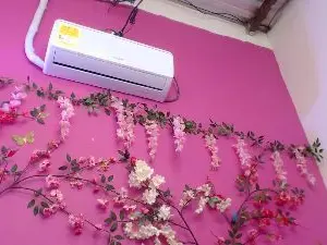 Kasandracute1  live sex cam