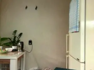 IdellaOlten  live sex cam