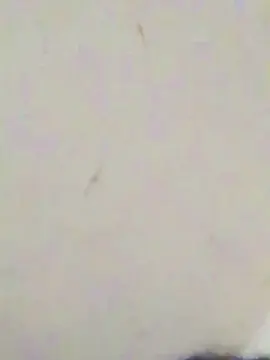 Lu25  live sex cam