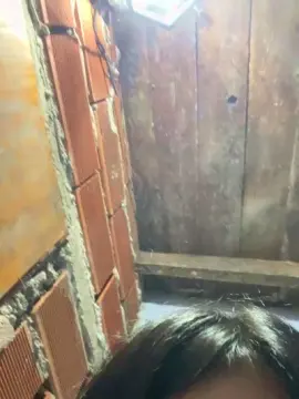 Zai22  live sex cam