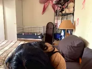 AlaynaKanelos  live sex cam
