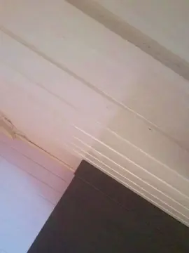 Pretinhagostos4  live sex cam