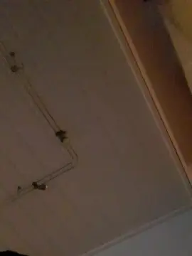 Spielpaar4042  live sex cam