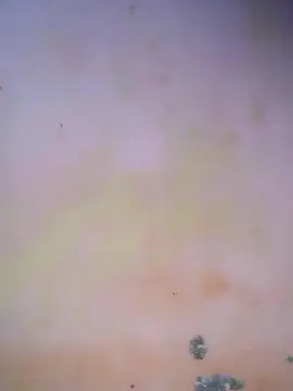 Elysca  live sex cam