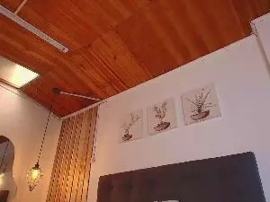 KathyaSpinelli  live sex cam
