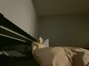 Paisley_emerson  live sex cam