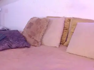 Chel_Stone_  live sex cam