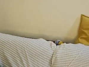 CicelySmeja  live sex cam