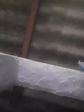 Bethoven300  live sex cam