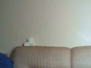 Baddie_bunnie  live sex cam