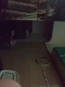 Tuperritahot  live sex cam