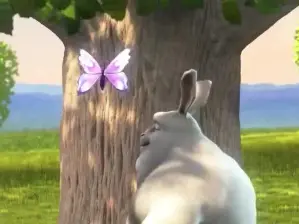 QATipP5  live sex cam