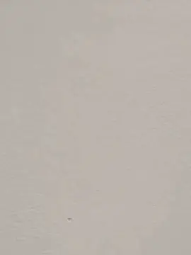 Mile2021  live sex cam
