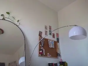 Domm99  live sex cam