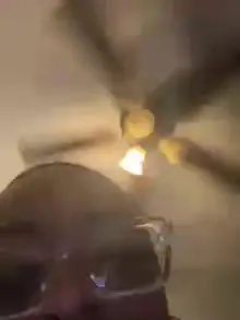 SerenaGray  live sex cam
