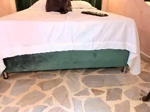 Meggy_Mae  live sex cam