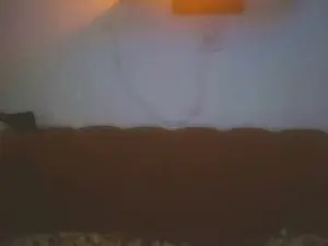 Morari425  live sex cam