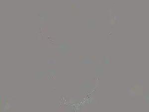 Kellytesh_  live sex cam