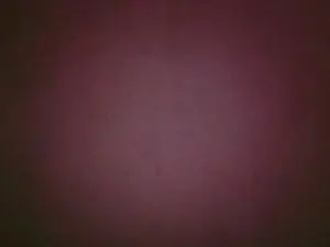 LekkereYasmine  live sex cam