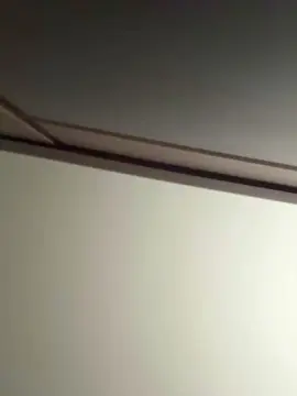 BarbarayParaja  live sex cam