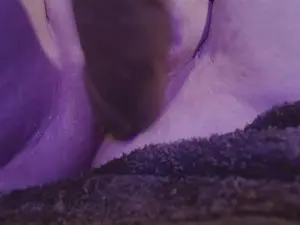 Foxyroxxyx  live sex cam